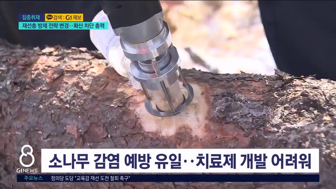 <집중.5> 재선충 방제 전략 변경..확산 차단 총력 