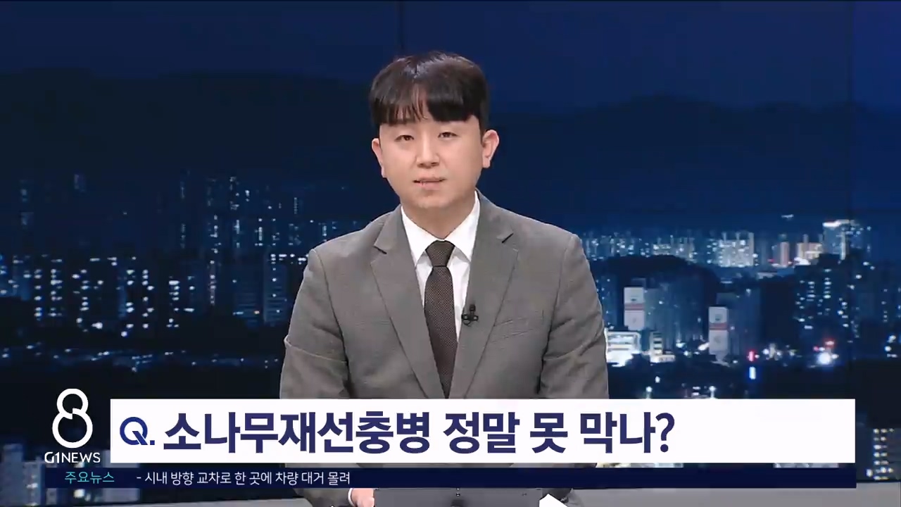 <출연> 재선충 확산 속도 늦춰야..강원 산림 중요 