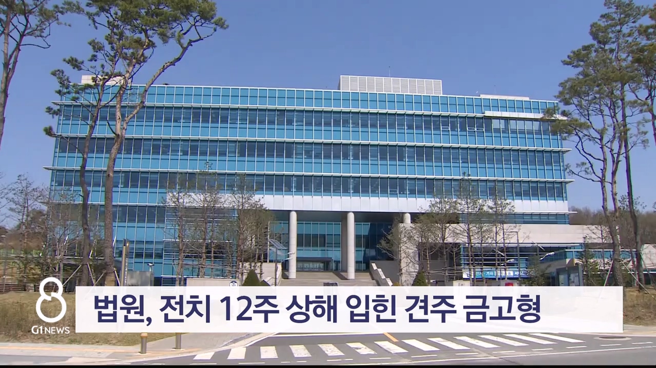 법원, 전치 12주 상해 입힌 견주 금고형