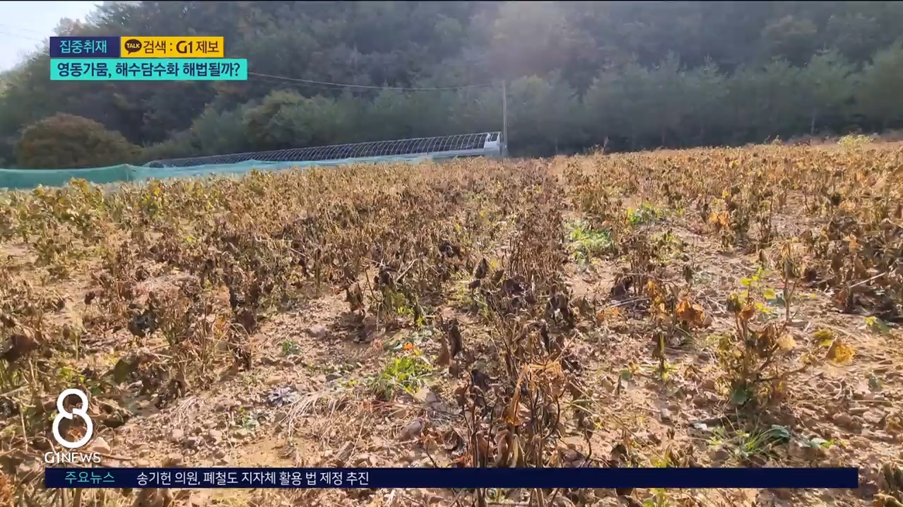 (집중.2)영동가뭄, 해수담수화 해법될까? 