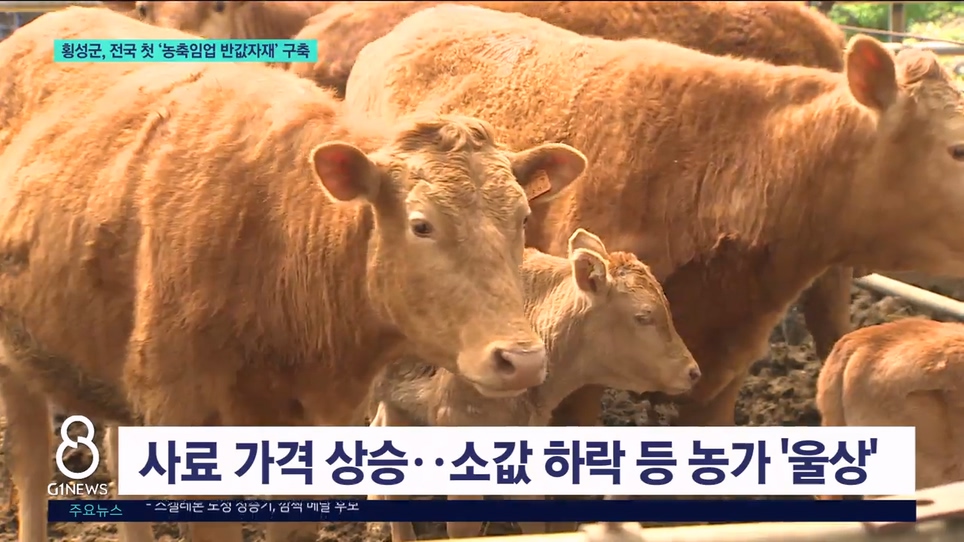 횡성군, 전국 첫 '농축임업 반값자재' 구축 