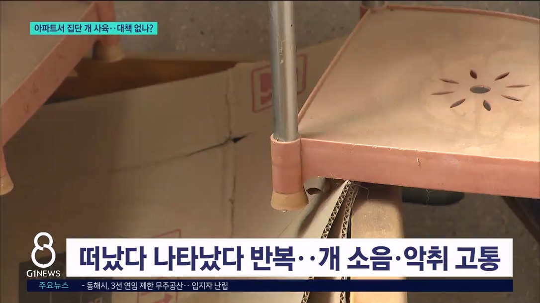 아파트서 집단 개 사육..대책 없나? 