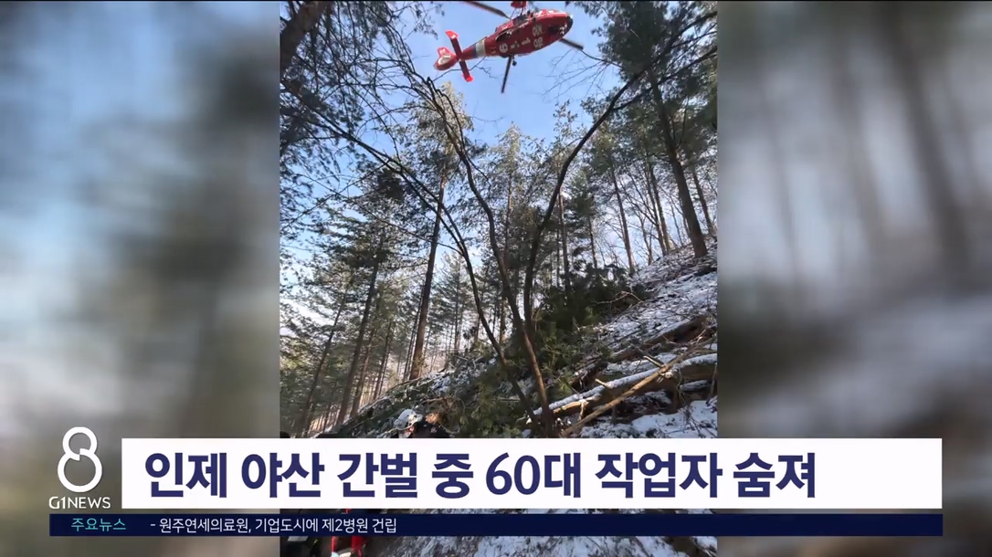 인제 야산 간벌 중 60대 작업자 숨져