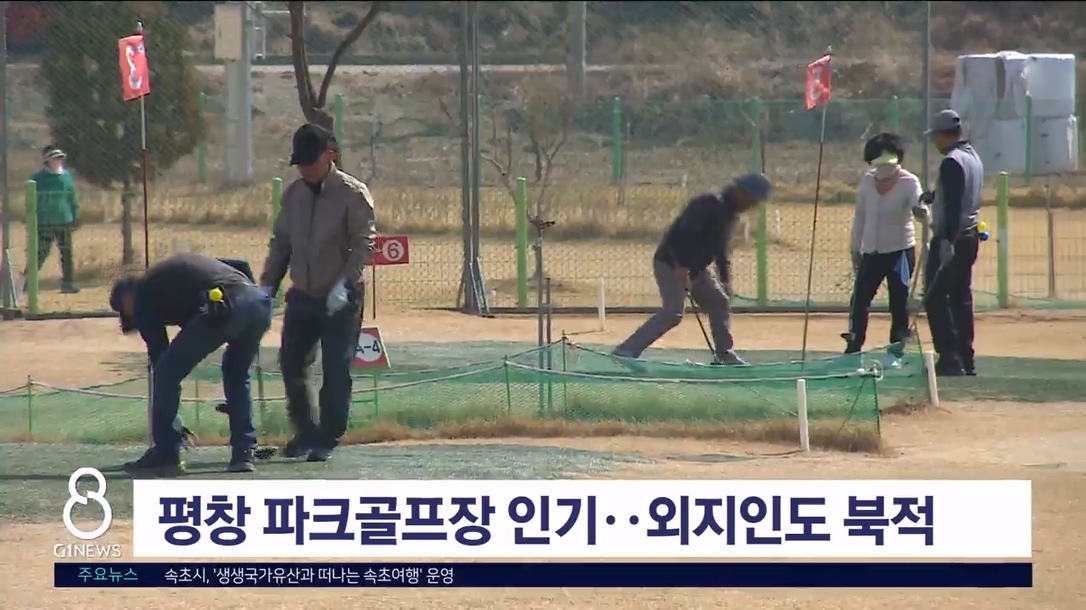 평창 백일홍 축제장에 파크골프장 조성 