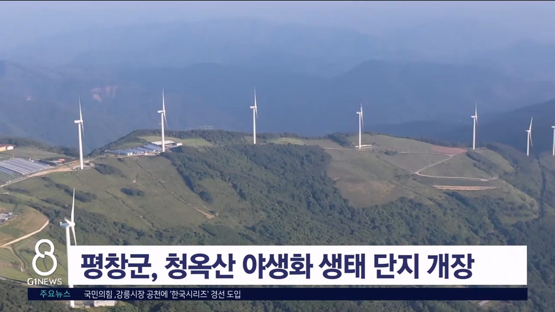 평창군, 청옥산 야생화 생태 단지 개장