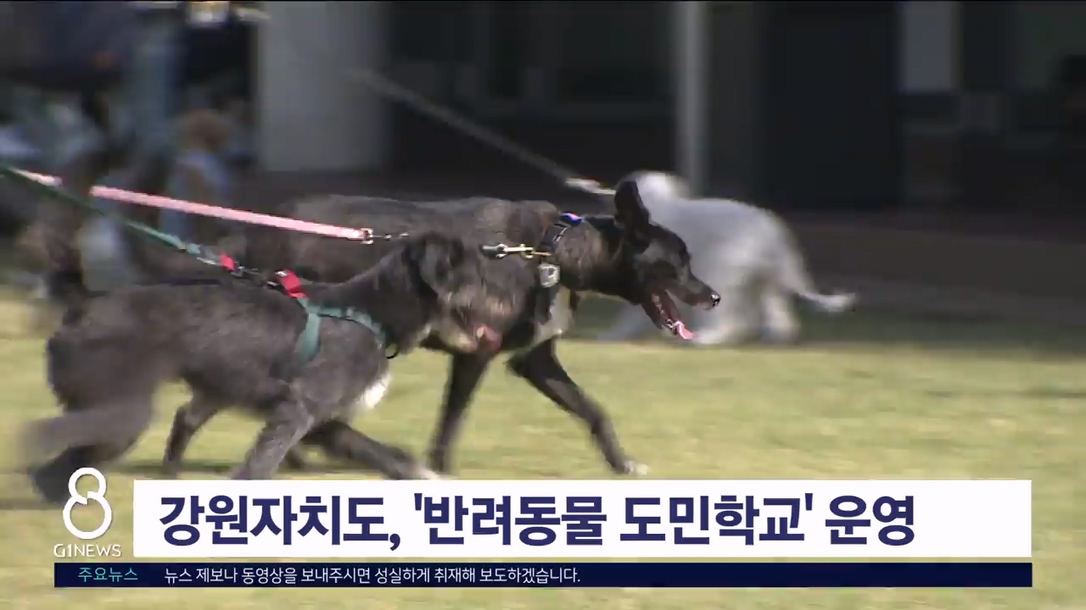 강원자치도, '반려동물 도민 학교' 운영