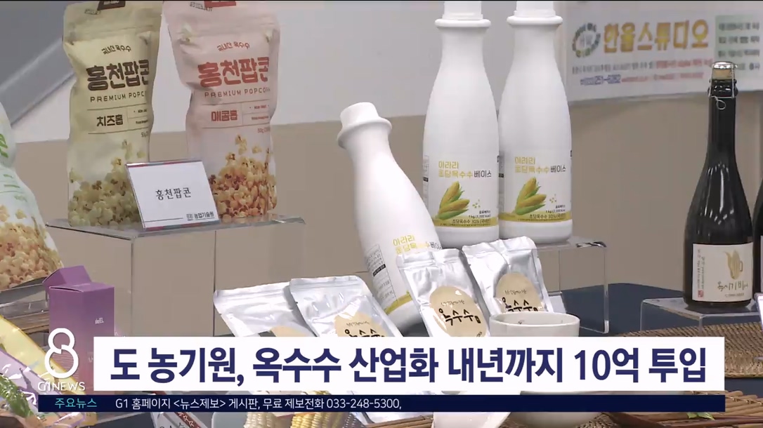 도 농기원, 옥수수 산업화 내년까지 10억원 투입