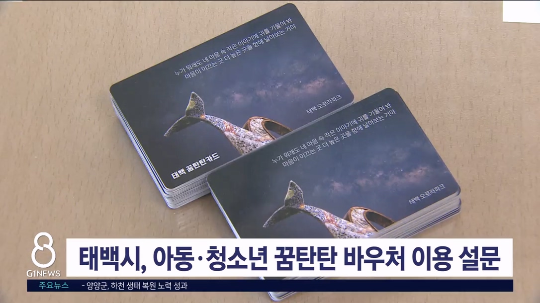 태백시, '아동·청소년 꿈탄탄 바우처' 이용실태 설문조사