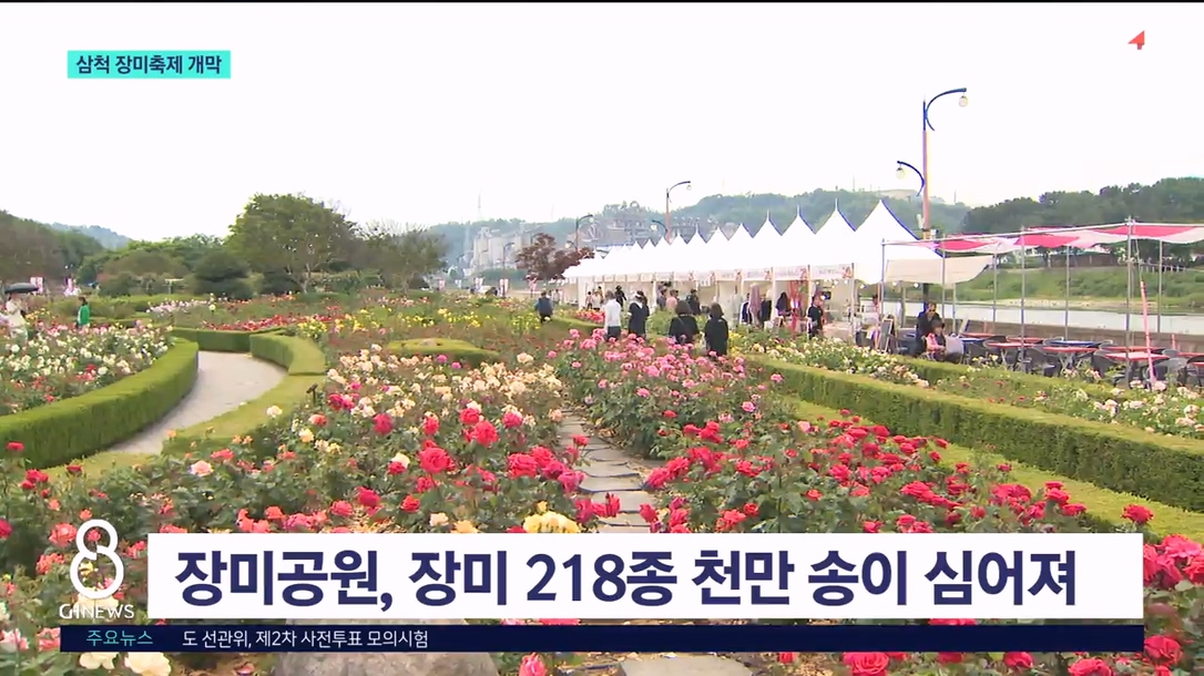 '장미 향기 가득'..삼척 장미축제 개막 