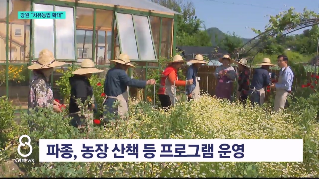 "농업으로 치유"..강원 치유농업 '확대' 