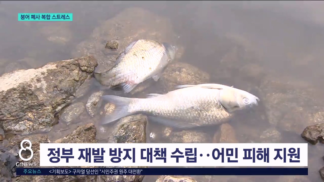 소양호 붕어 폐사 원인 '산소 부족'..어민 반발 