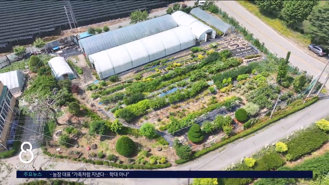 <기획> 50년 장애인 착취.."제대로 받지도 먹지도" 