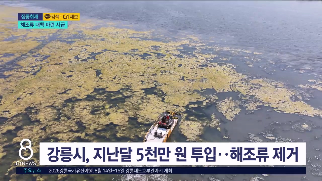 <집중> 해조류 제거 수천만 원..근본 대책 없나? 