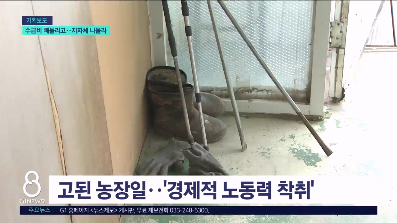 <기획> 수급비 빼돌려 아들에게..지자체 나몰라 
