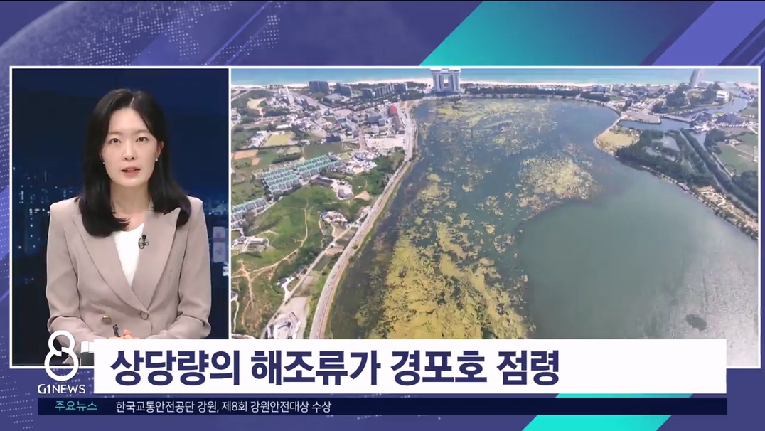 <기자출연> 경포호 해조류 확산 문제