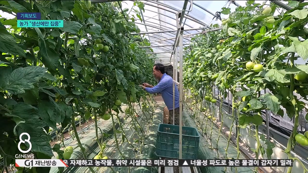 <기획> 농가 생산에만 집중.."경쟁력 확보" 