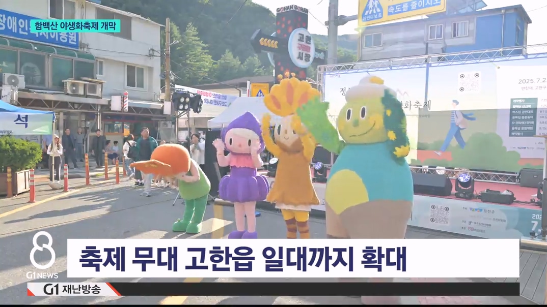 천상의 화원..함백산 야생화 축제 개막 