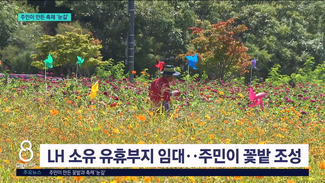 주민이 만든 꽃밭과 축제 '눈길' 