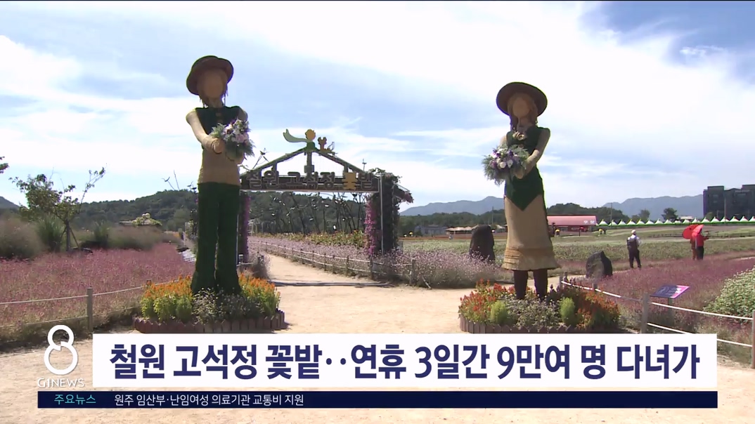 철원 고석정 꽃밭..연휴 3일간 9만여 명 다녀가