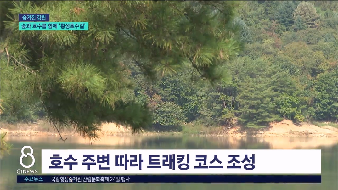 <관광기획7> "숲과 호수를 한눈에"..횡성호수길 
