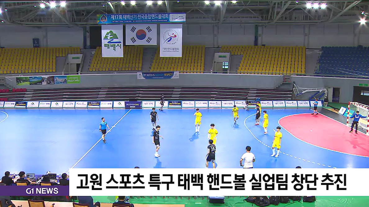 고원 스포츠 특구 태백 핸드볼 실업팀 창단 추진