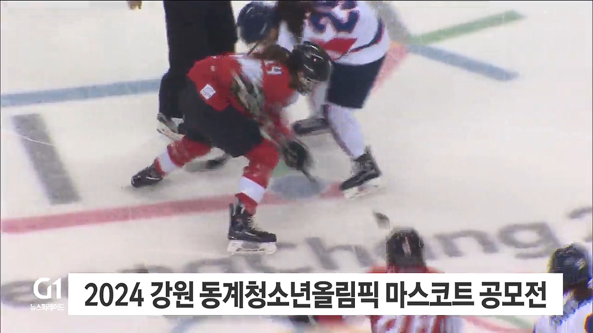 2024 강원 동계청소년올림픽 마스코트 공모전