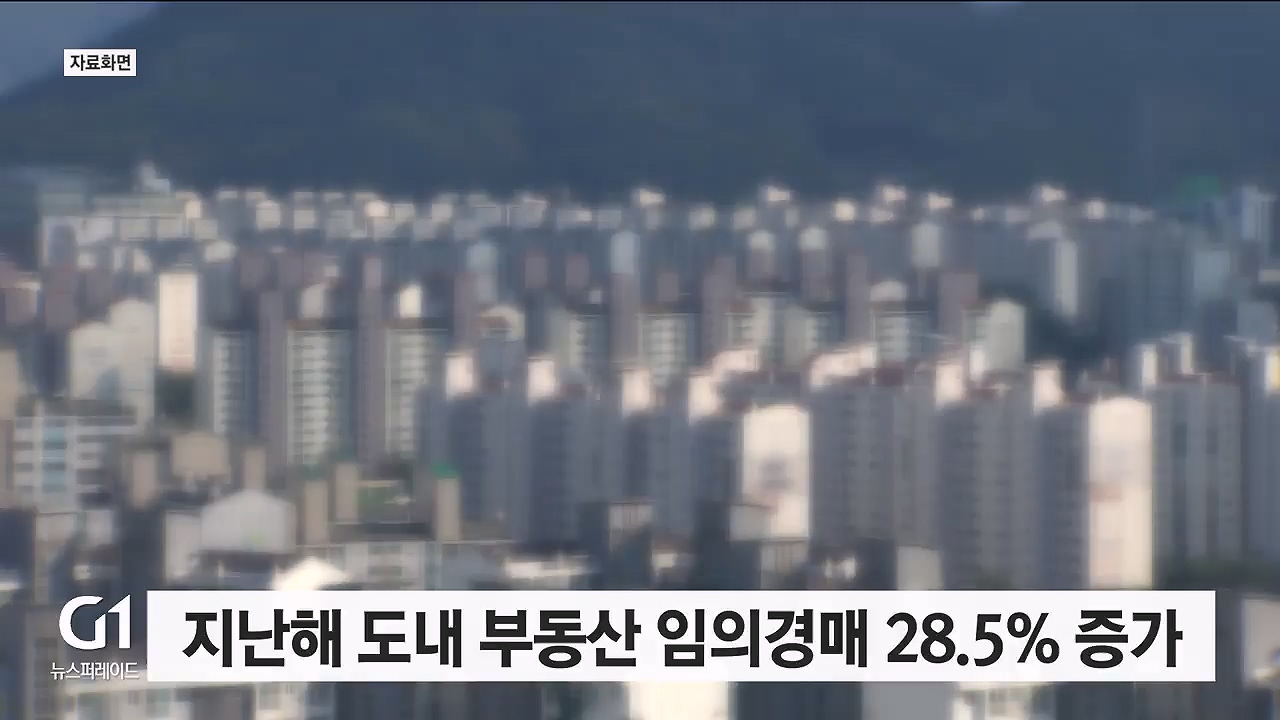 지난해 도내 부동산 임의경매 28.5% 증가