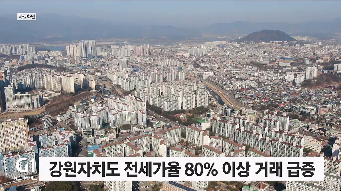 강원자치도 전세가율 80% 이상 거래 급증