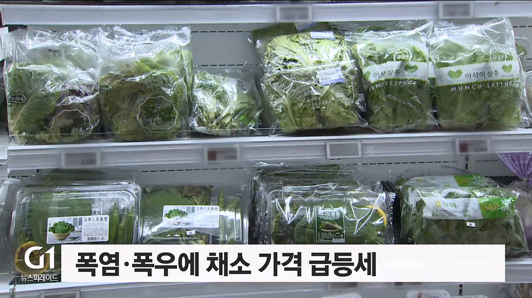 폭염·폭우에 채소 가격 급등세