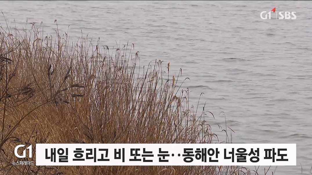 내일 흐리고 비 또는 눈..동해안 너울성 파도 주의