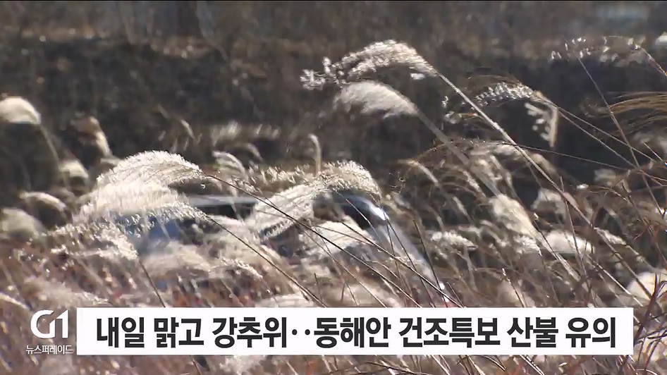 내일 맑고 강추위..동해안 건조특보 산불 유의