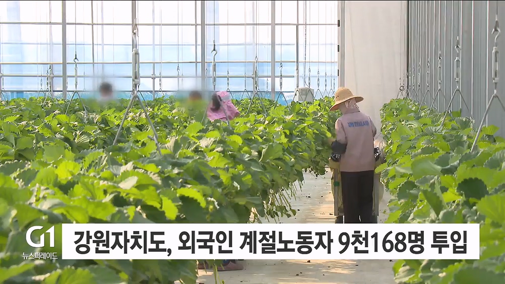 강원자치도, 외국인 계절노동자 9,168명 투입