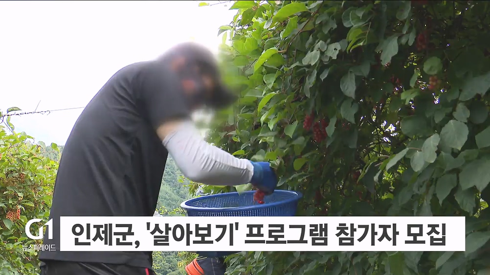 인제군, '살아보기' 프로그램 참가자 모집