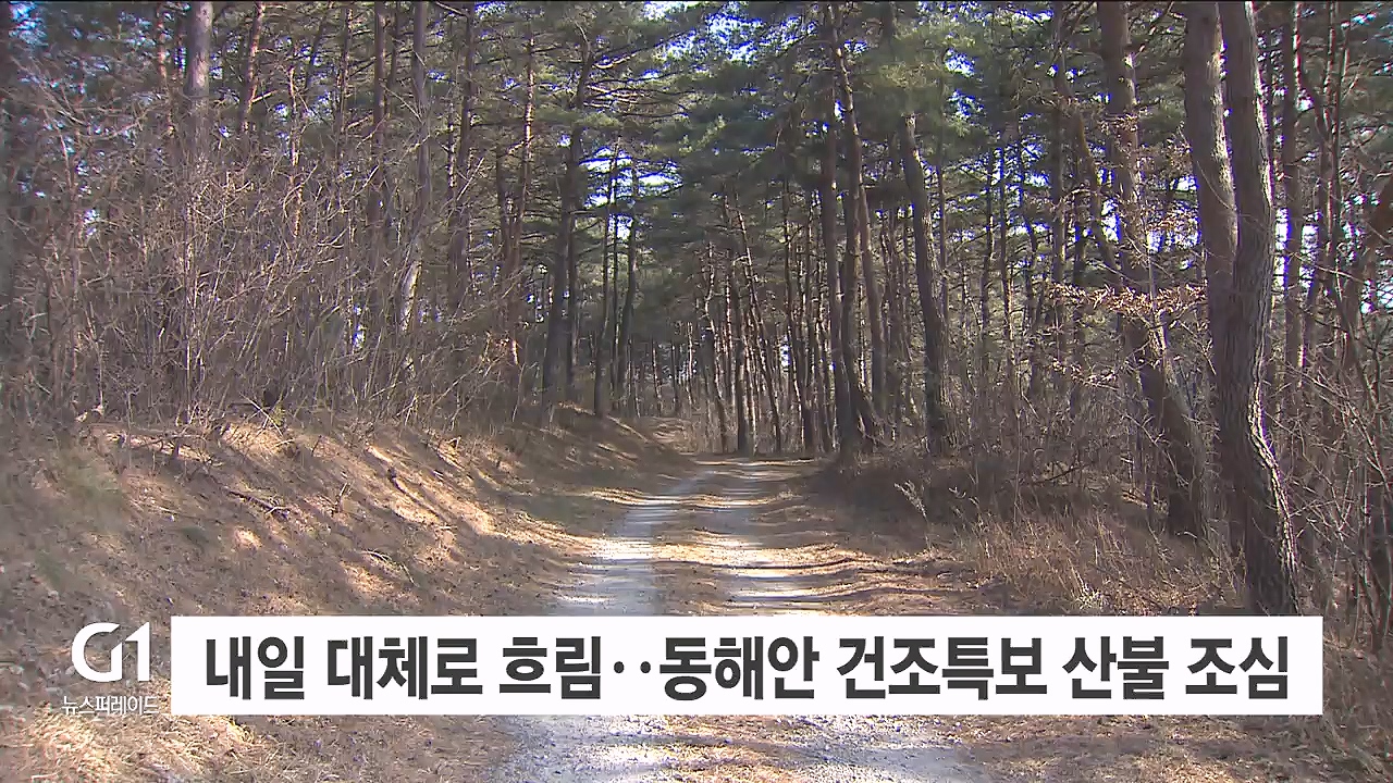 내일 대체로 흐림..동해안 건조특보 산불 조심