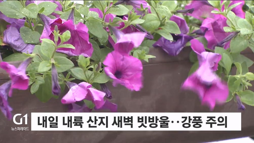 내일 내륙 산지 새벽 빗방울..강풍 주의