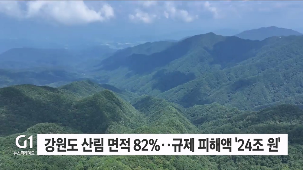 <특자도4> 산림규제 해제..민통선도 '개발' 