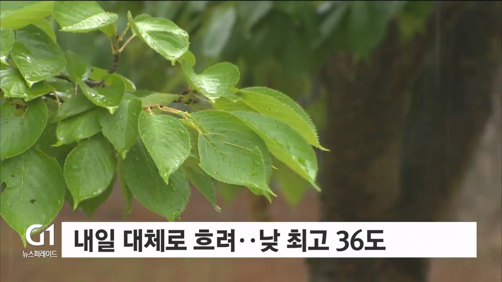 내일 대체로 흐려..“최고기온 36도”