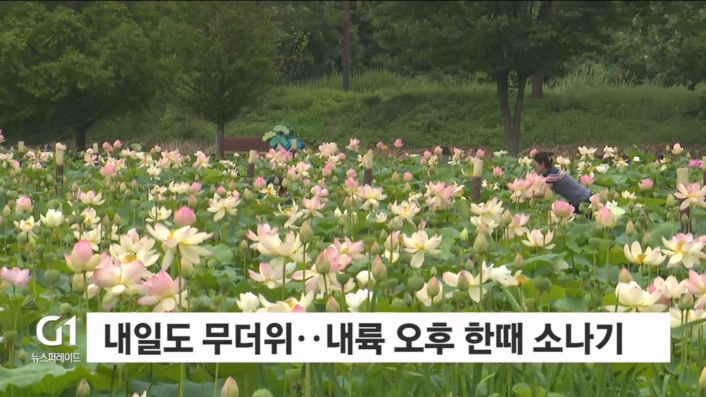 내일도 무더위..내륙 오후 한때 소나기