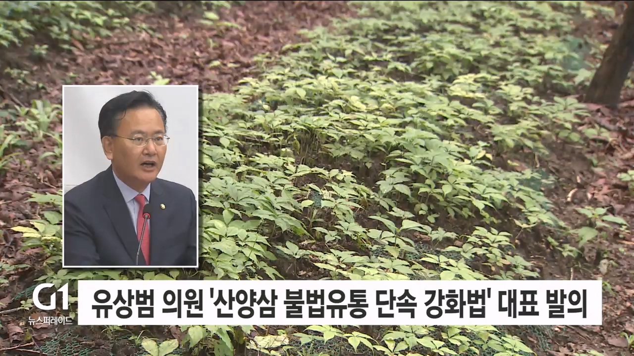유상범 의원 '산양삼 불법유통 단속강화법' 대표발의