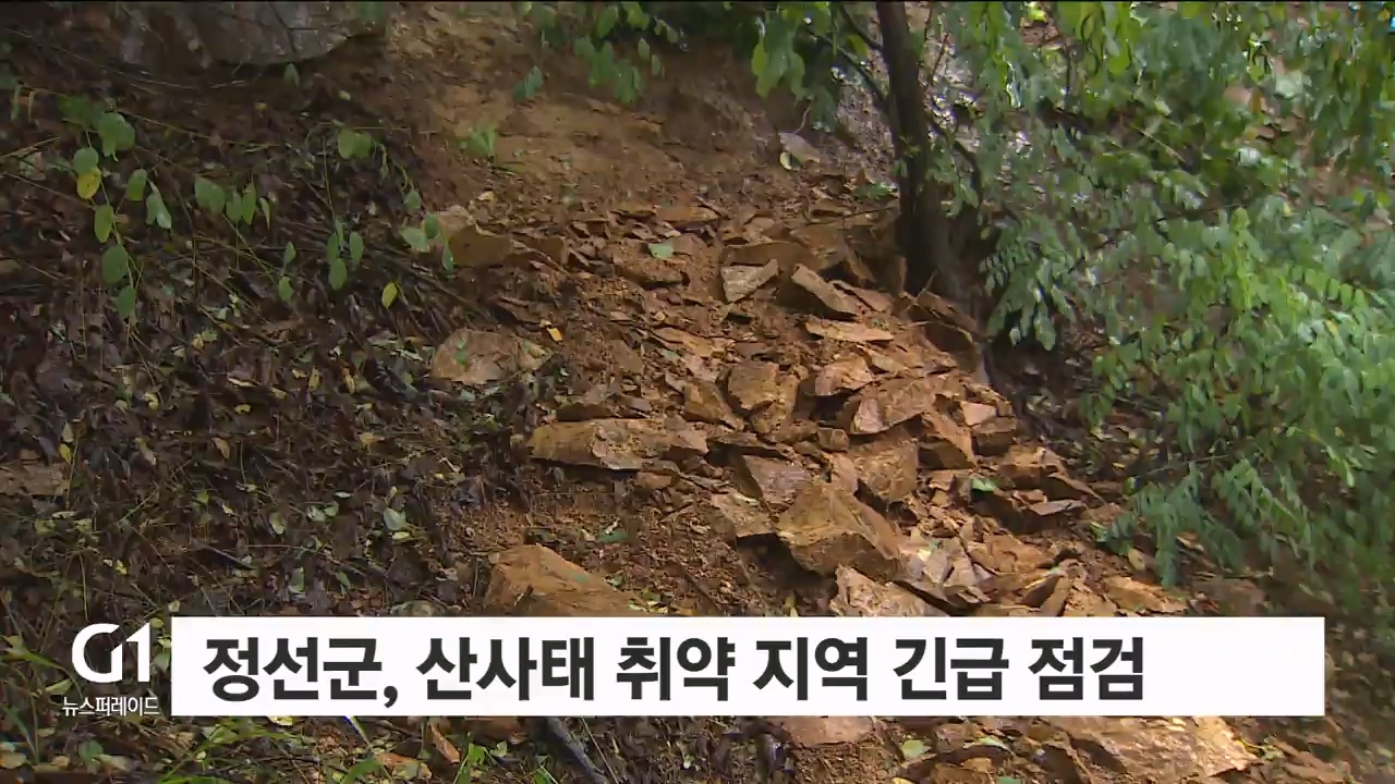 정선군, 산사태 취약 지역 긴급 점검