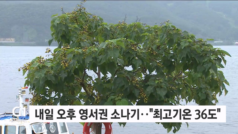 내일 오후 영서권 소나기..“최고기온 35도”