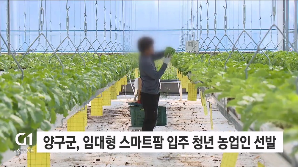 양구군, 임대형 스마트팜 입주 청년 농업인 선발
