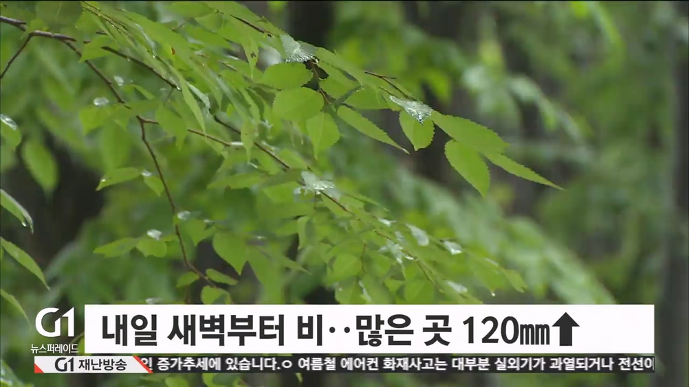 내일 새벽부터 비..많은 곳 120mm↑