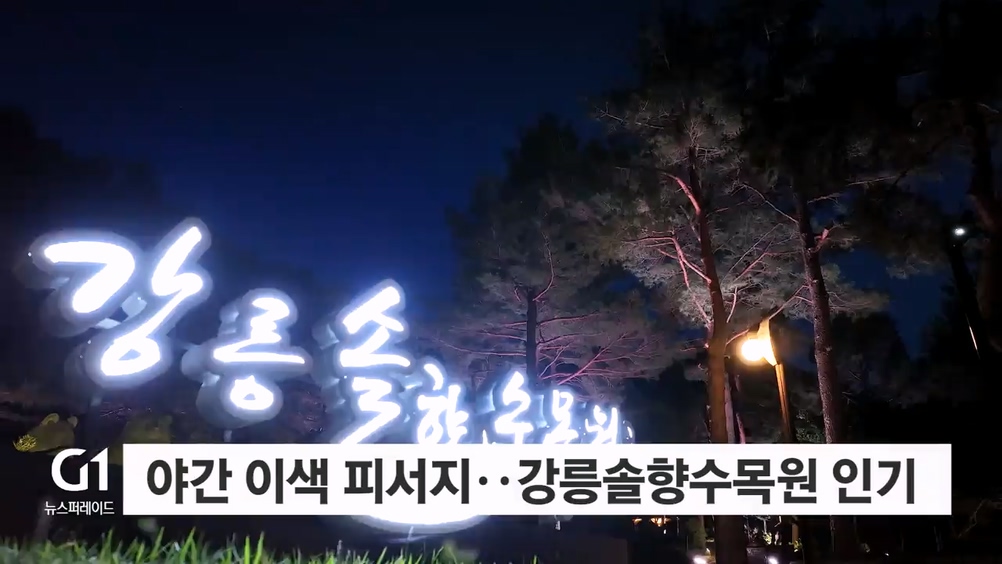 야간 이색 피서지, 강릉솔향수목원 인기