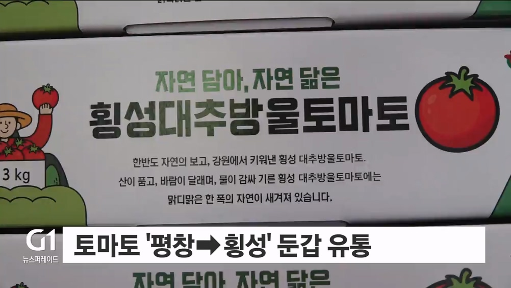 <기동/단독>평창 토마토, 횡성으로 둔갑..현장 적발 