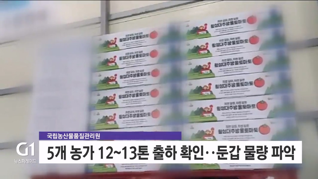 (기동)토마토 박스갈이 수사 '속도' 