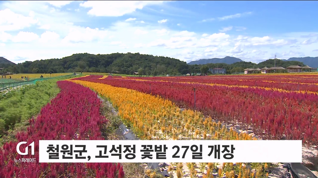 철원 고석정 꽃밭 27일 개장
