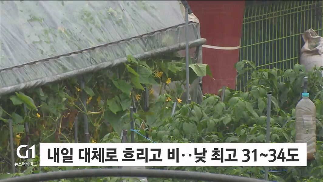 내일 대체로 흐리고 비..낮 최고 31~34도