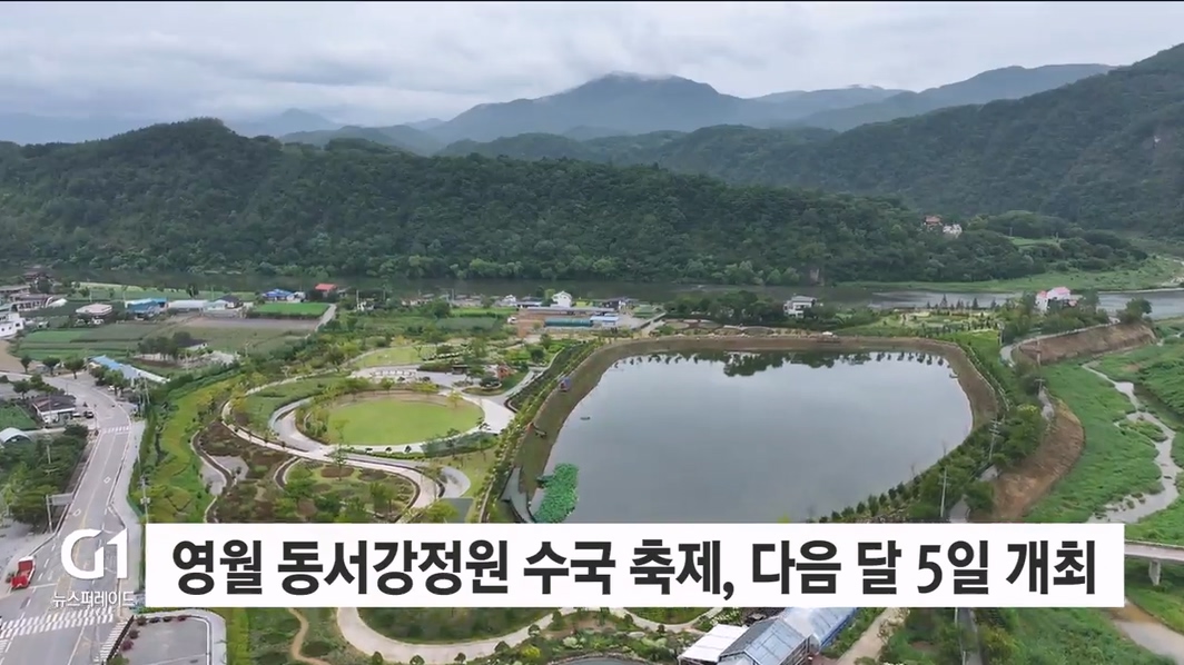 영월 동서강정원 수국 축제, 다음 달 5일 개최