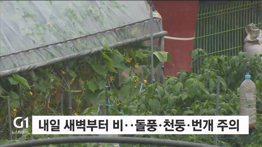 내일 새벽부터 비..돌풍·천둥·번개 주의